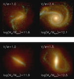  The Horizon-AGN simulation: Morphological Diversity of Galaxies Promoted by AG\
N feedback