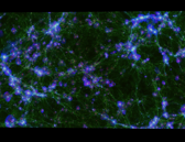 Density profile of dark matter haloes and galaxies in the Horizon-AGN simulation: the impact of AGN feedback