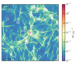 The diverse galaxy counts in the environment of high-redshift massive black holes in Horizon-AGN