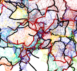 Galaxy evolution in the metric of the Cosmic Web